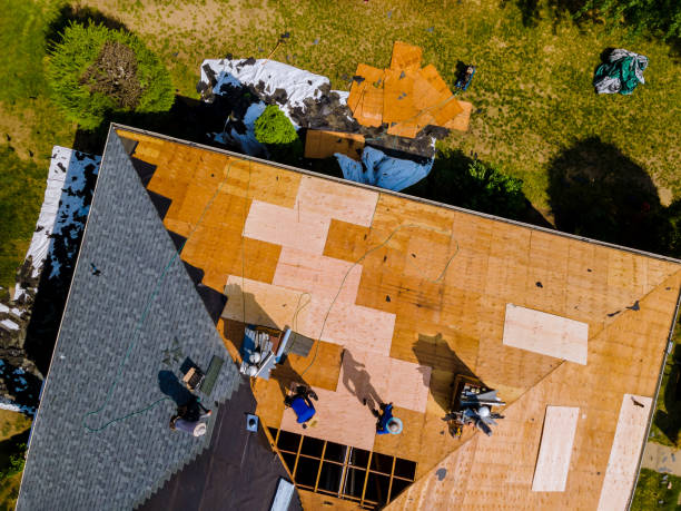 Best Roof Waterproofing Services  in Nixon, PA