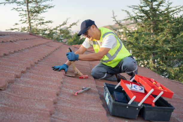 Best Roof Maintenance Services  in Nixon, PA