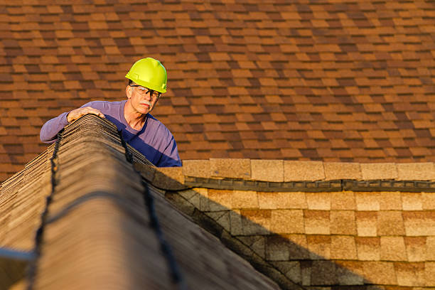 Professional Roofing Contractor in Nixon, PA